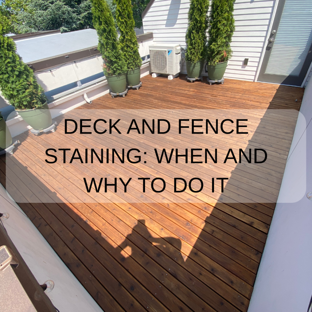 Deck and Fence Staining: When and Why to Do It