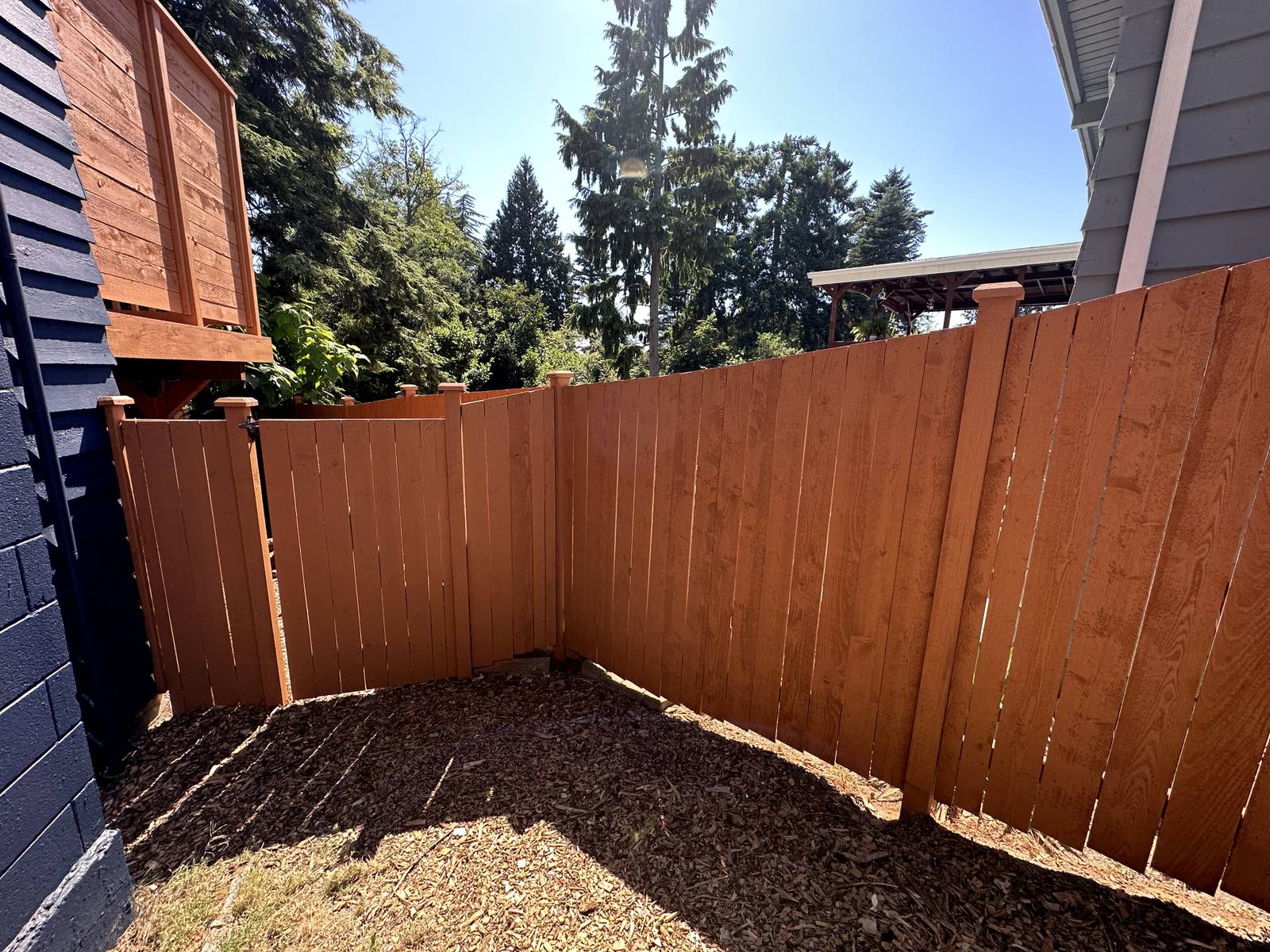 Paiting deck and fence services in Bellevue