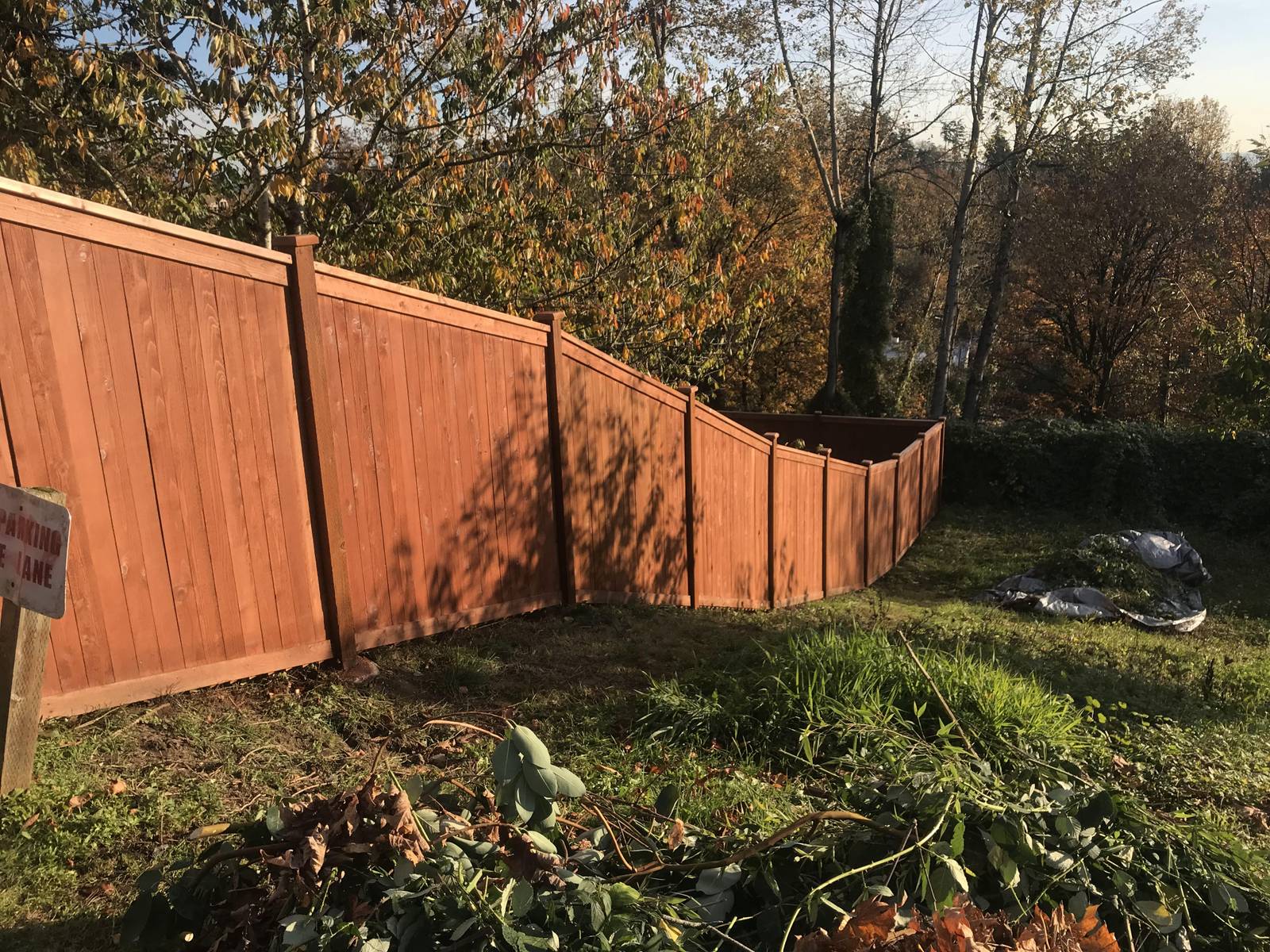Paiting deck and fence services in Redmond